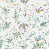 Cole & Son HUMMINGBIRDS PASTEL Wallpaper