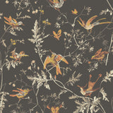 Cole & Son HUMMINGBIRDS CHARCOAL/GINGER Wallpaper