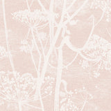 Cole & Son COW PARSLEY PLASTER PINK Wallpaper