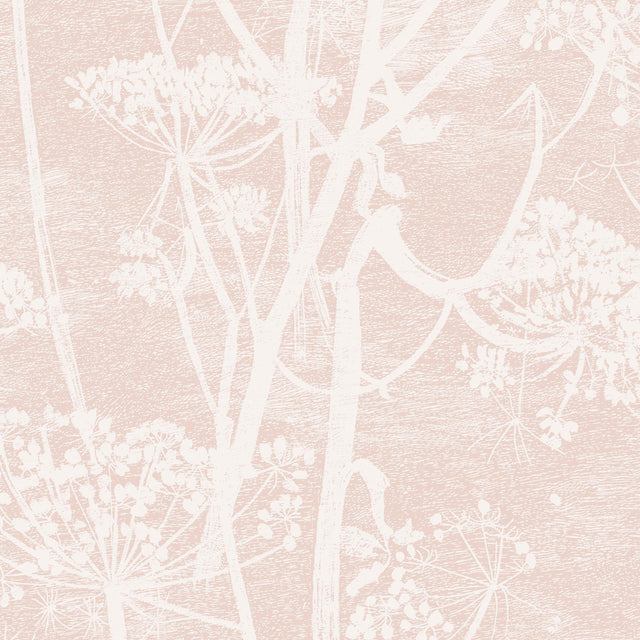 Cole & Son COW PARSLEY PLASTER PINK Wallpaper