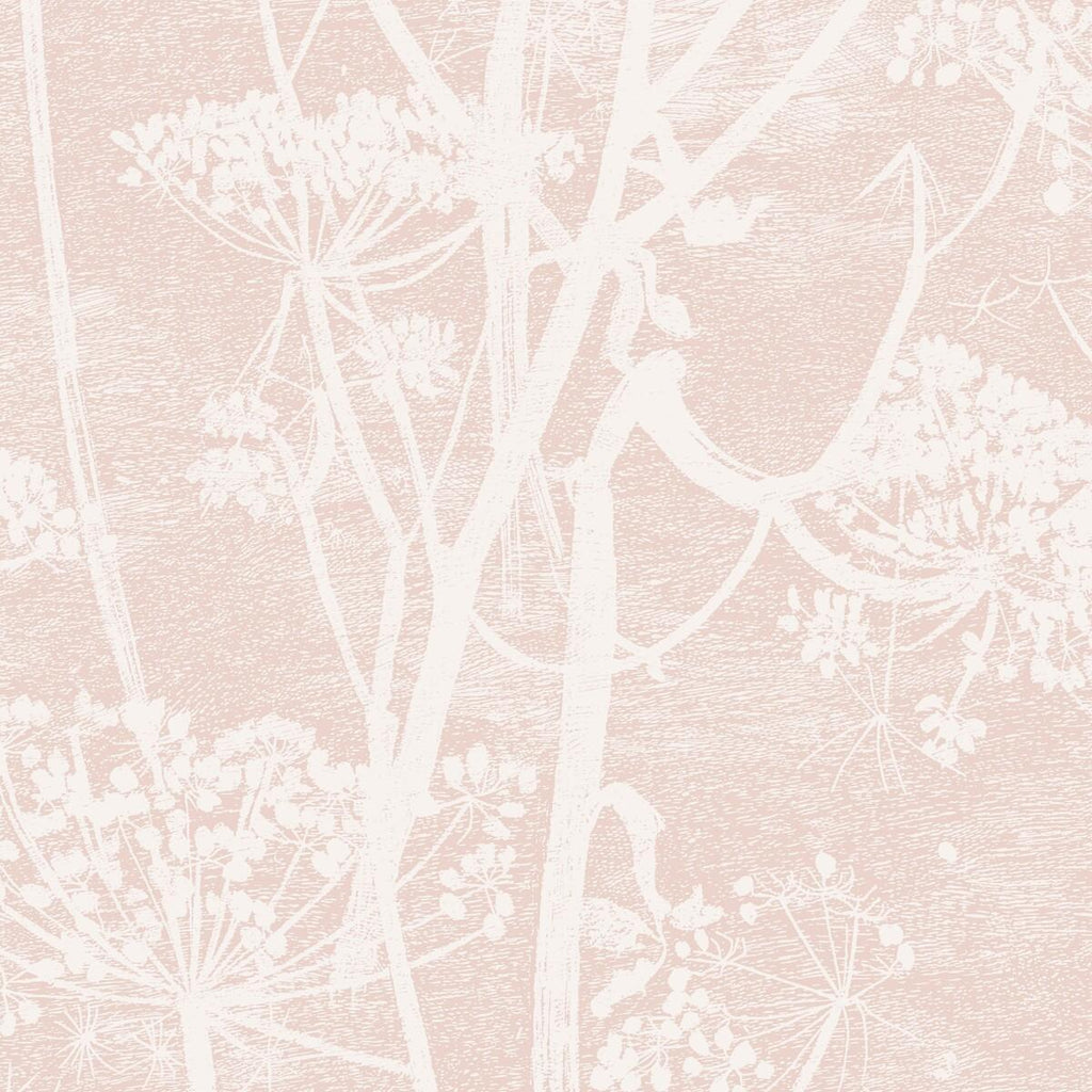 Cole & Son COW PARSLEY PLASTER PINK Wallpaper