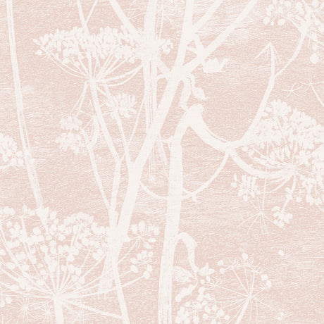 Cole & Son COW PARSLEY PLASTER PINK Wallpaper