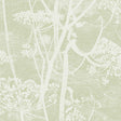 Cole & Son COW PARSLEY OLIVE Wallpaper
