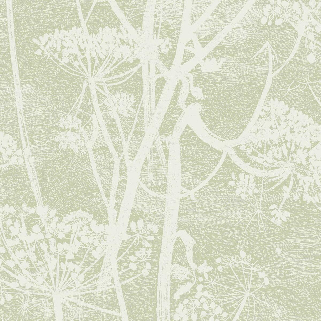 Cole & Son COW PARSLEY OLIVE Wallpaper