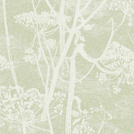 Cole & Son COW PARSLEY OLIVE Wallpaper