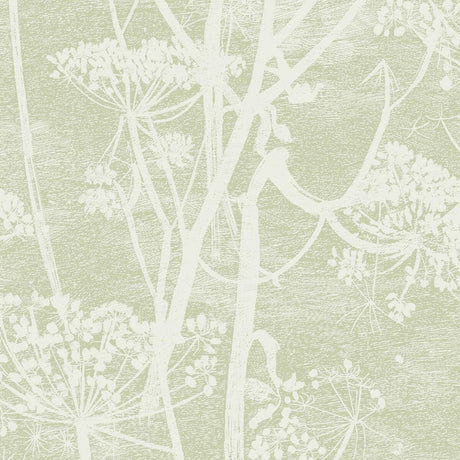 Cole & Son Cow Parsley Olive Wallpaper