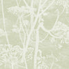 Cole & Son Cow Parsley Olive Wallpaper