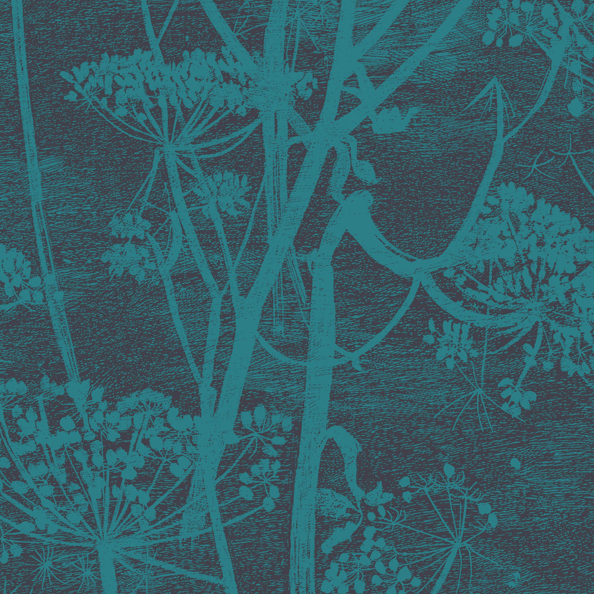 Cole & Son COW PARSLEY TEAL Wallpaper