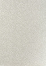 Kravet SCRIBBLE STERLING Wallpaper