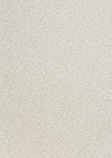 Kravet SCRIBBLE SAND Wallpaper