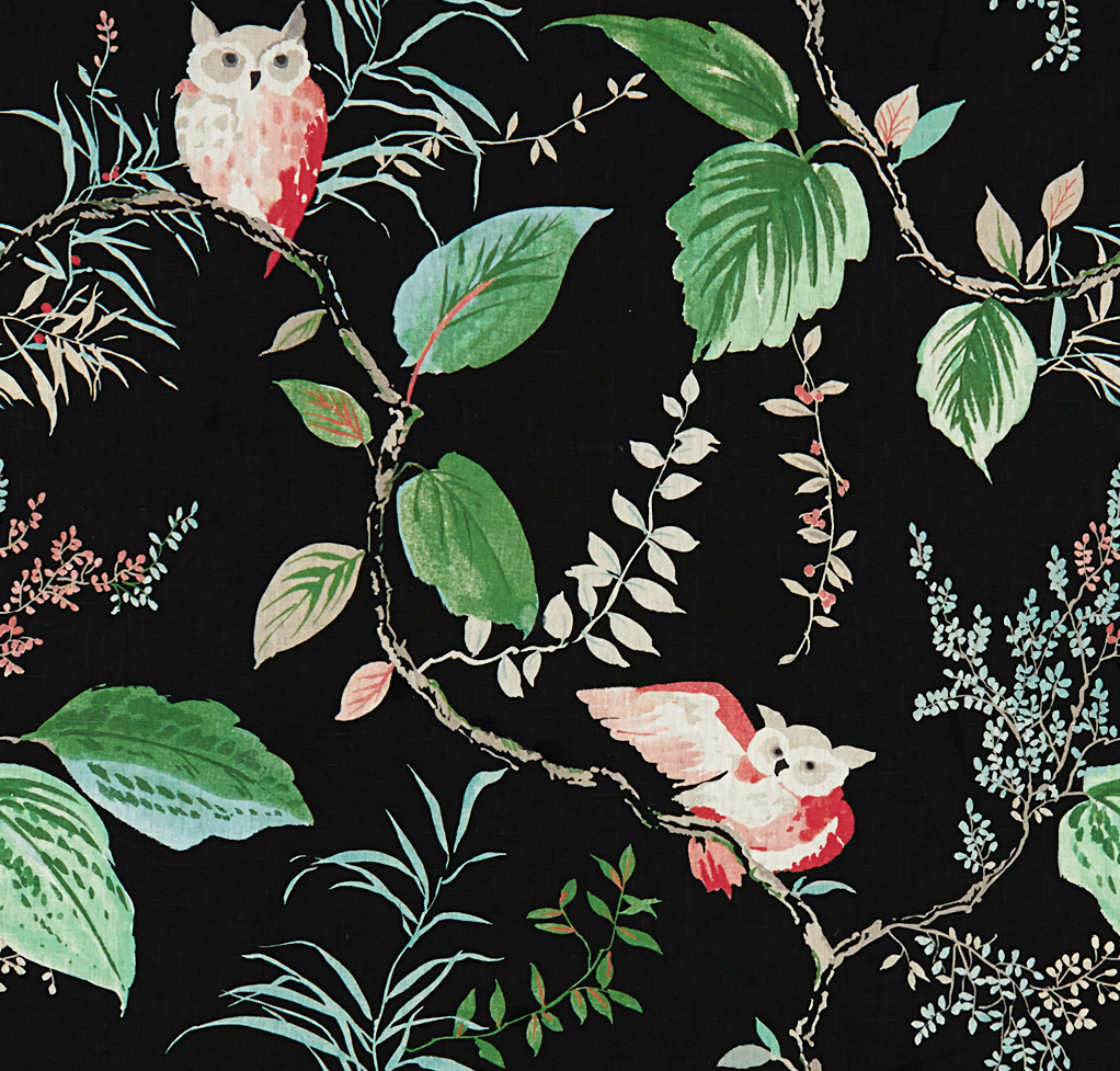 Kravet OWLISH BLACK Wallpaper