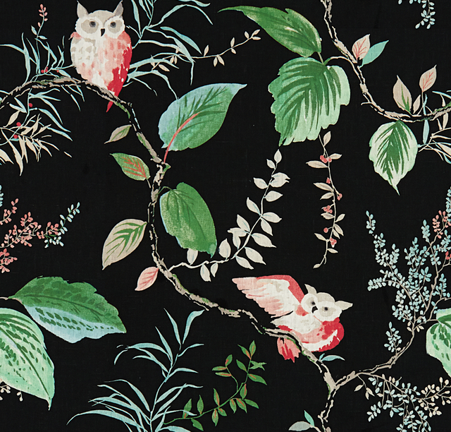 Kravet OWLISH BLACK Wallpaper