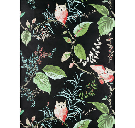Kravet OWLISH BLACK Wallpaper