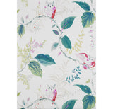 Kravet OWLISH MULTI Wallpaper