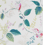 Kravet OWLISH MULTI Wallpaper