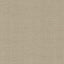 Kasmir Regis Wheat Fabric