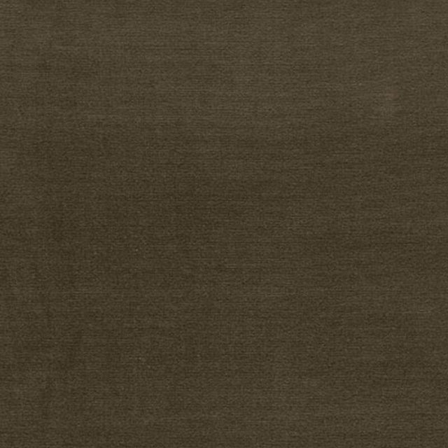 Schumacher Gainsborough Velvet Cactus Fabric