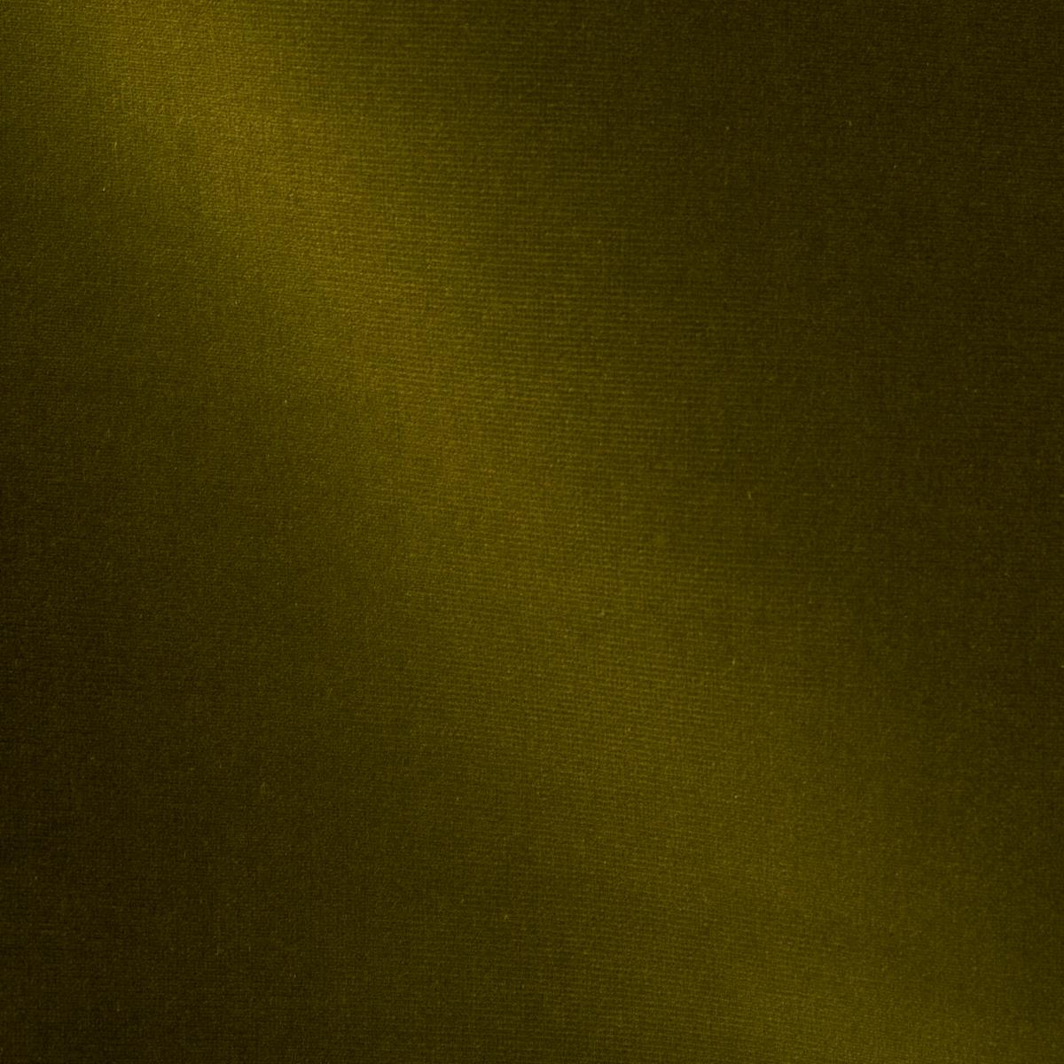 Schumacher Gainsborough Velvet Moss Fabric