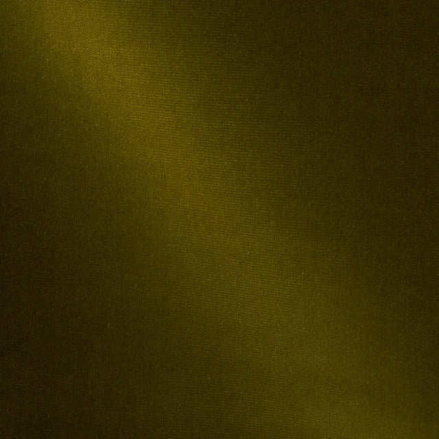 Schumacher Gainsborough Velvet Moss Fabric