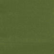 Schumacher Gainsborough Velvet Fern Fabric