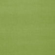 Schumacher Gainsborough Velvet Apple Fabric