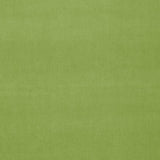 Schumacher Gainsborough Velvet Apple Fabric