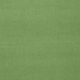 Schumacher Gainsborough Velvet Willow Fabric