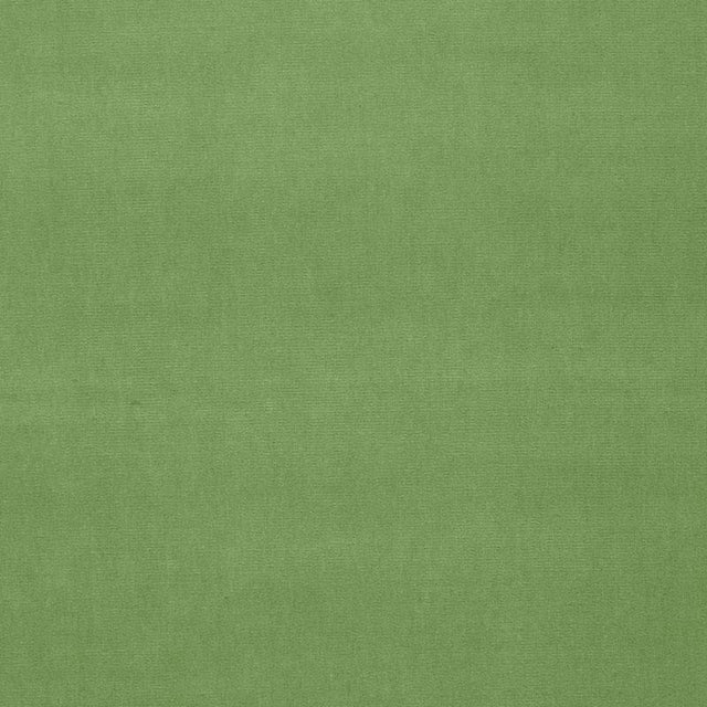 Schumacher Gainsborough Velvet Willow Fabric