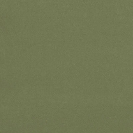 Schumacher Gainsborough Velvet Celadon Fabric