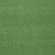 Schumacher Gainsborough Velvet Parrot Fabric
