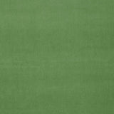 Schumacher Gainsborough Velvet Parrot Fabric