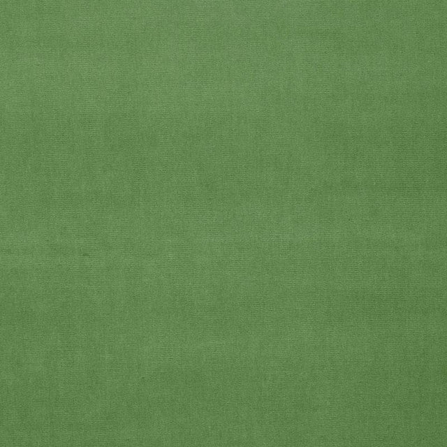 Schumacher Gainsborough Velvet Parrot Fabric