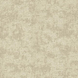 Kasmir Relic Stone Fabric