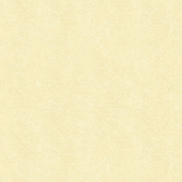 Kravet ABILENE FOSSIL Upholstery Fabric