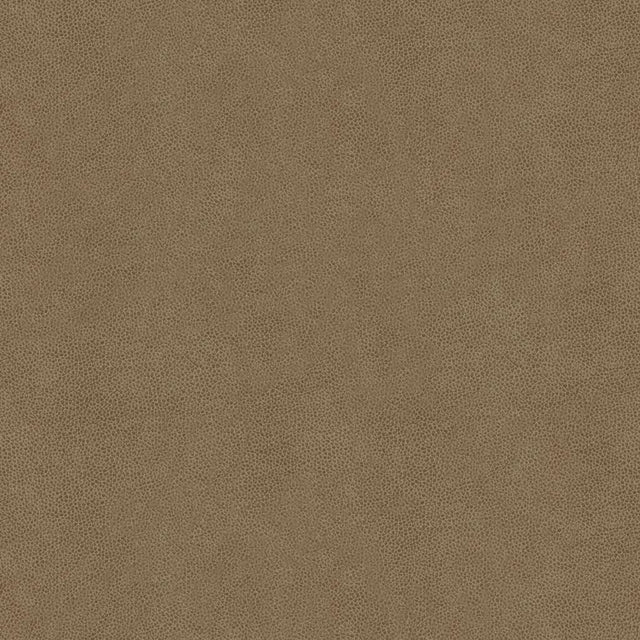 Kravet ABILENE STONE Upholstery Fabric