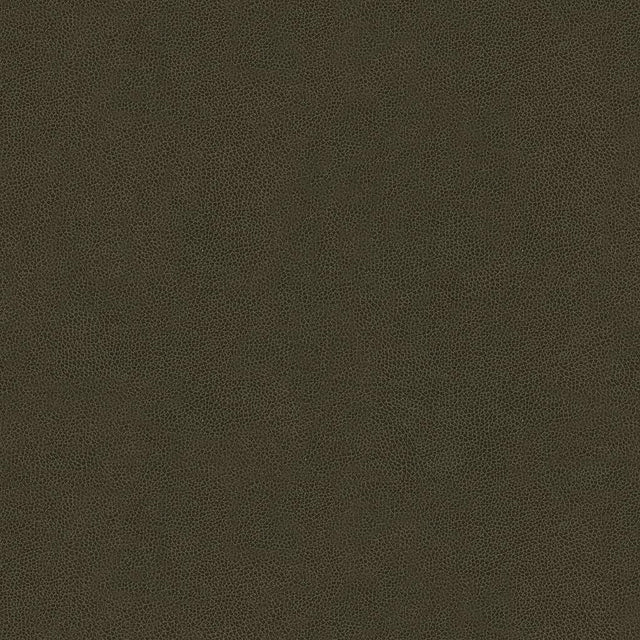 Kravet ABILENE STALLION Upholstery Fabric
