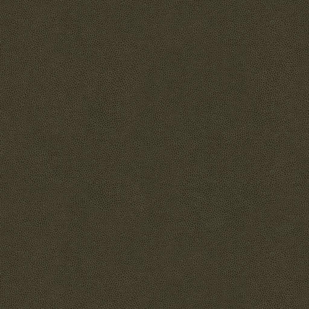 Kravet ABILENE STALLION Upholstery Fabric