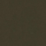Kravet ABILENE STALLION Upholstery Fabric