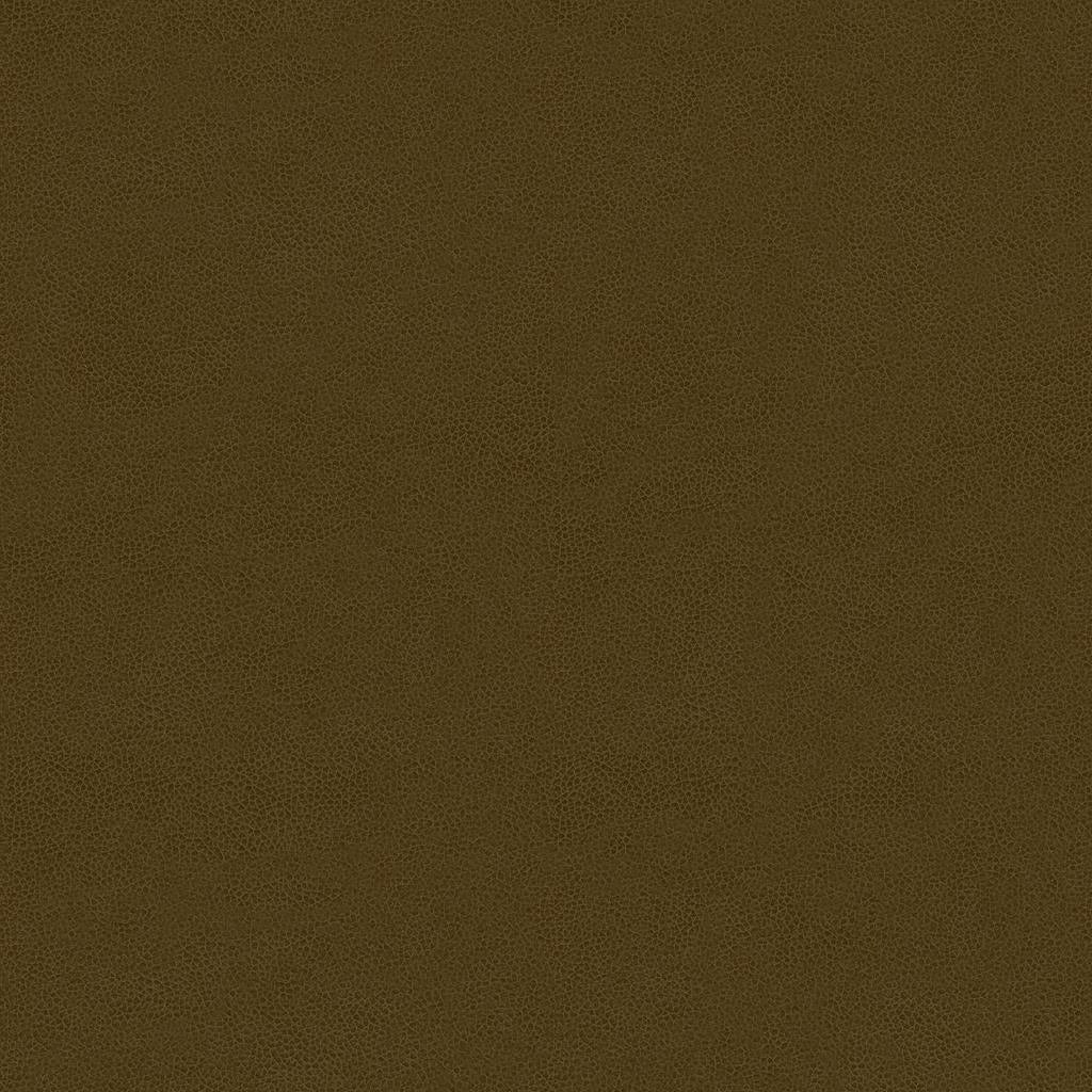 Kravet ABILENE BARK Upholstery Fabric