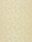 Scalamandre Hexagon Inspiration Chamomille Wallpaper