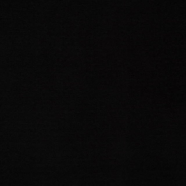Schumacher Lampedusa Indoor/Outdoor Black Fabric