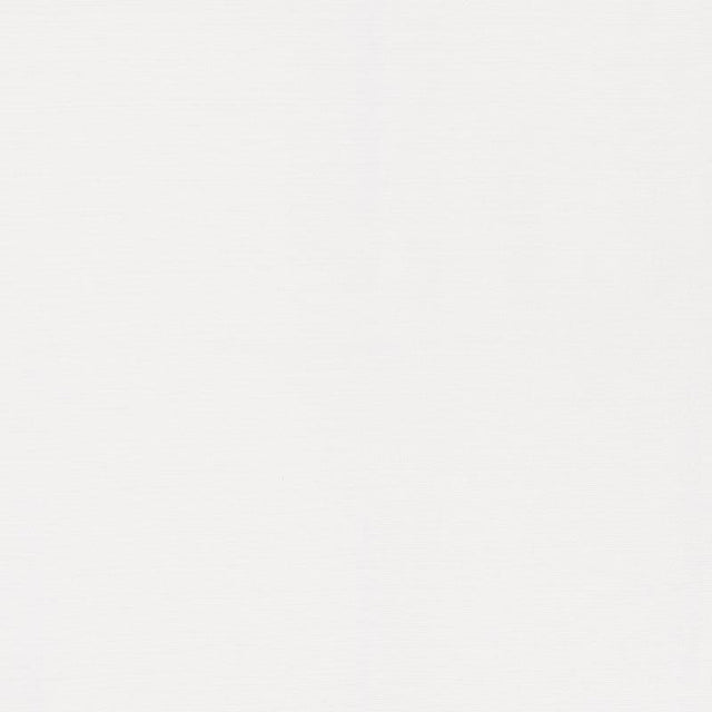 Schumacher Lampedusa Indoor/Outdoor Blanc Fabric