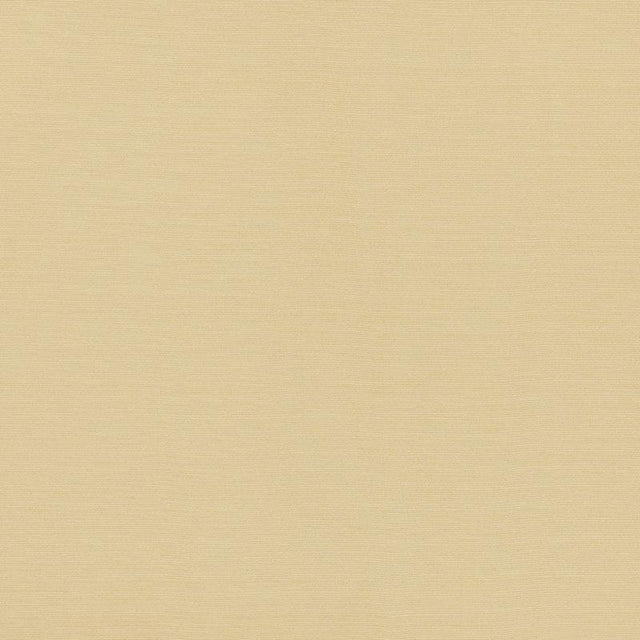 Schumacher Lampedusa Indoor/Outdoor Ecru Fabric