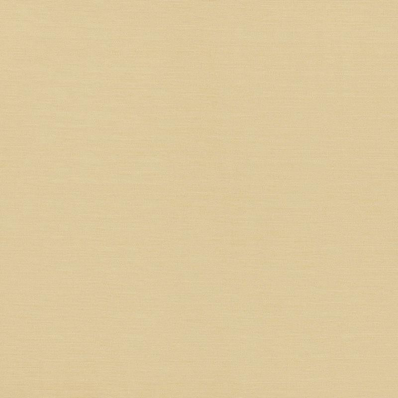 Schumacher Lampedusa Indoor/Outdoor Ecru Fabric