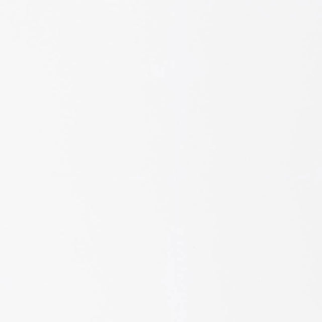 Schumacher Santa Margherita Blanc Fabric