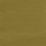 Schumacher Gainsborough Velvet Sap Fabric