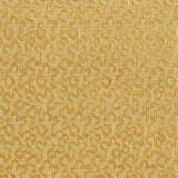 Schumacher Vermicelli Velvet Naples Fabric