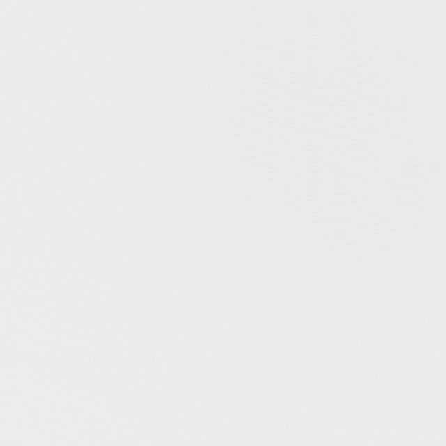 Schumacher Alassio Indoor/Outdoor Blanc Fabric