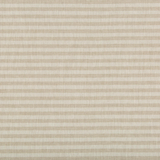 Lee Jofa RAYAS STRIPE GRAIN Upholstery Fabric