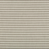Lee Jofa RAYAS STRIPE FOSSIL Upholstery Fabric